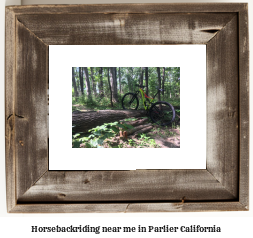 horseback riding near me in Parlier, California